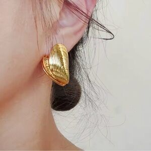 Clam shell earrings New Shell Silver Earrings Clam Shell Earrings